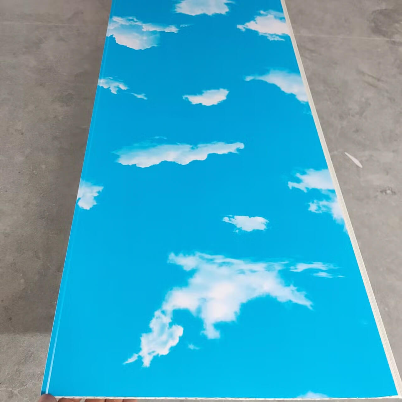 Techo Pvc Cielo foto 2
