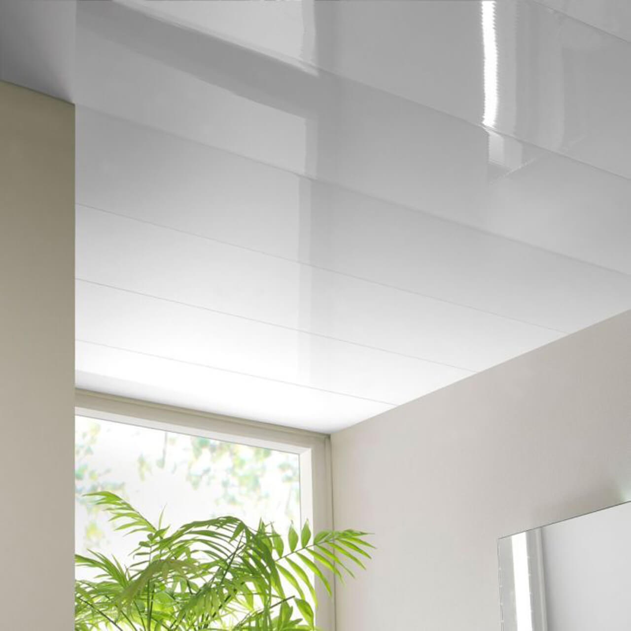 Techo Pvc 1 foto 3