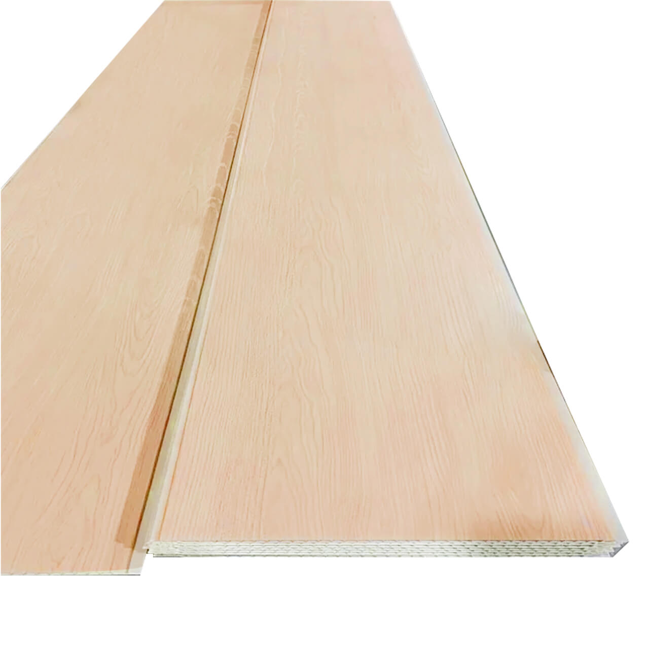Techo Pvc 3 foto 2