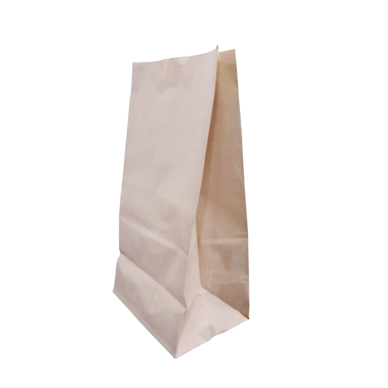 Bolsa De Papel 40 foto 2