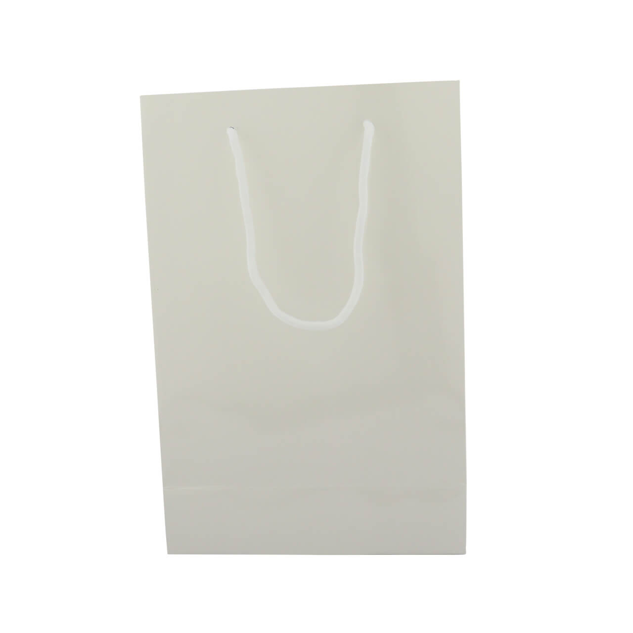 Bolsa Papel Para Sublimación 21x29 foto 3